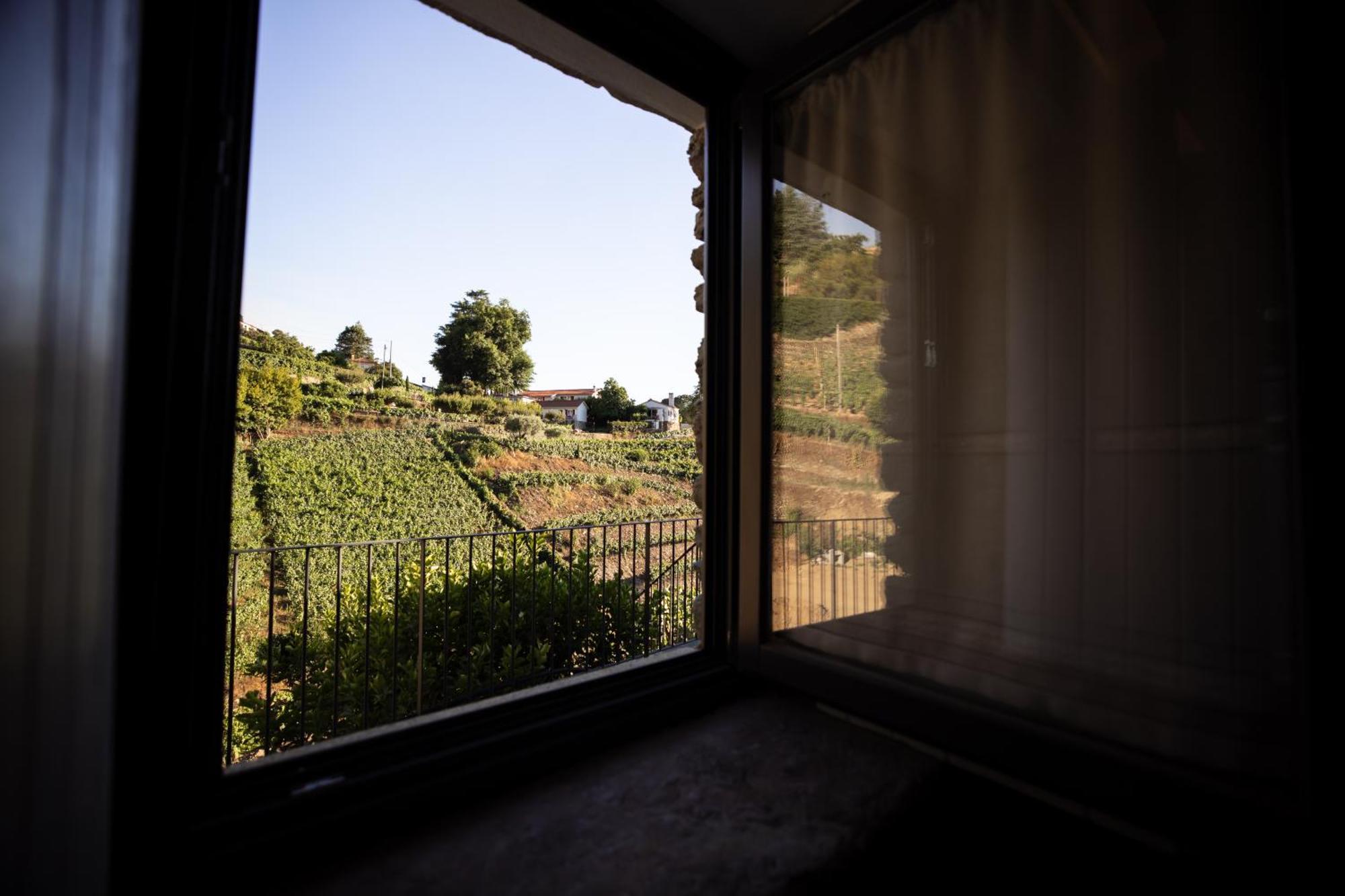 Quinta Da Pousada Casa De Campo Santa Marta de Penaguião Kamer foto