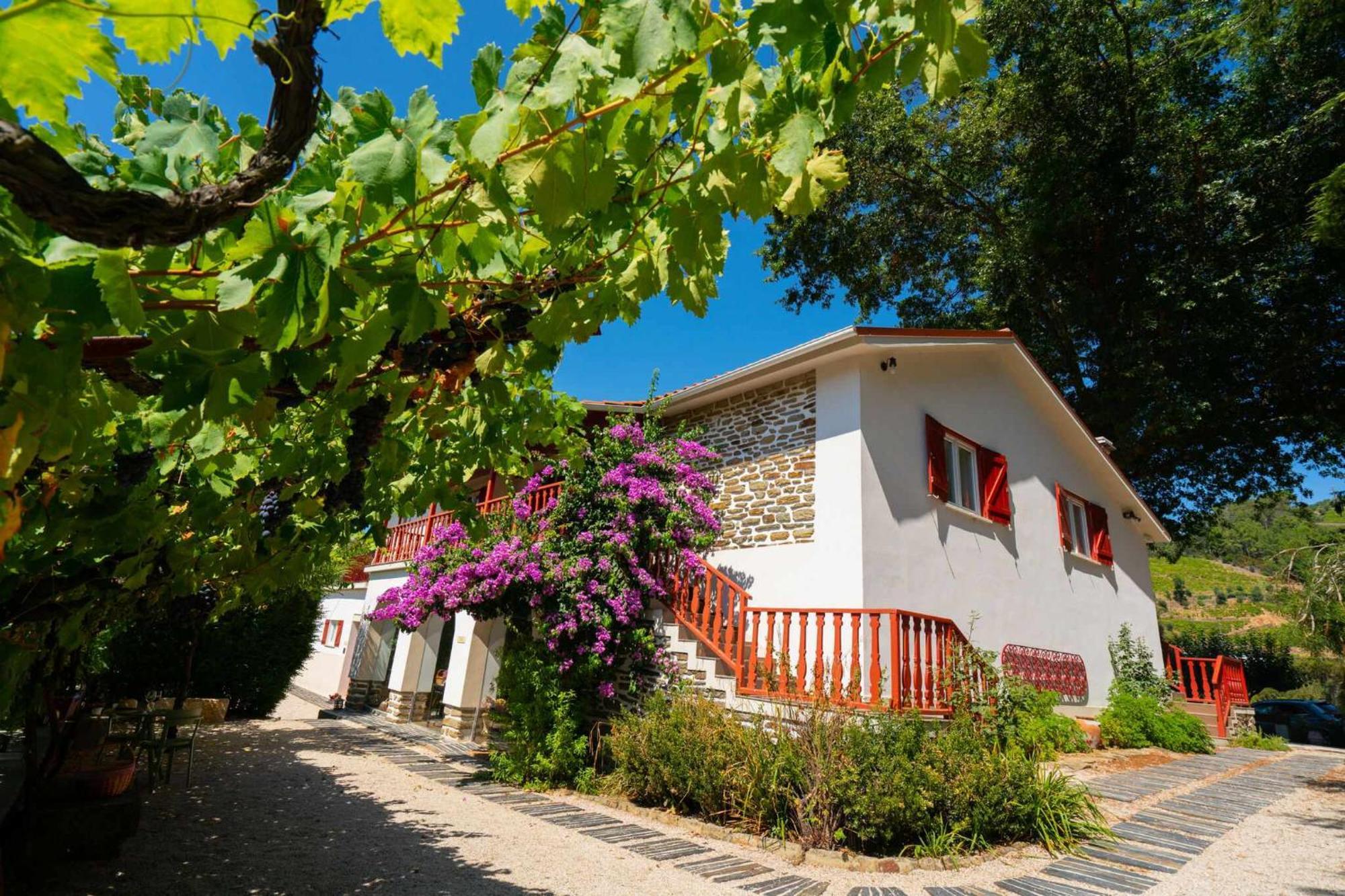 Quinta Da Pousada Casa De Campo Santa Marta de Penaguião Buitenkant foto